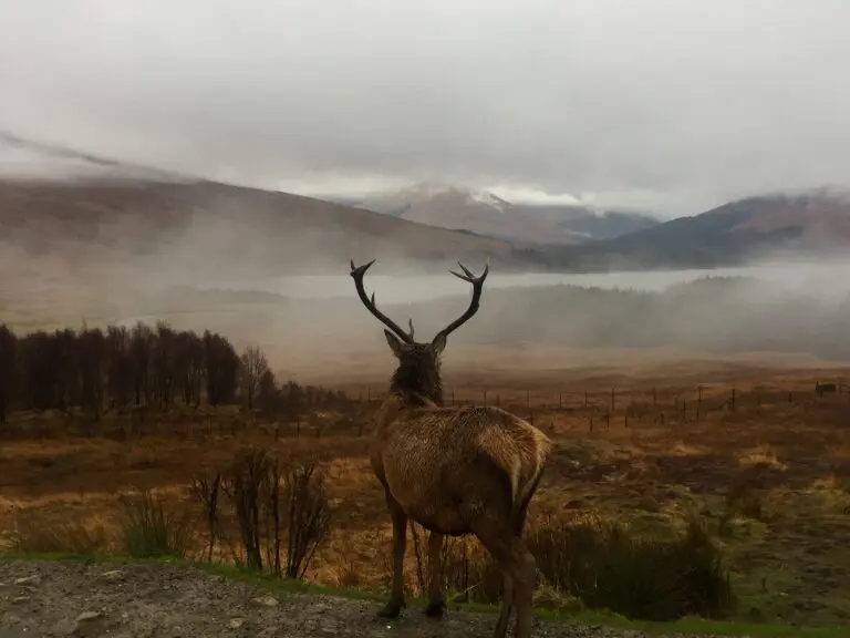 West Highland Way