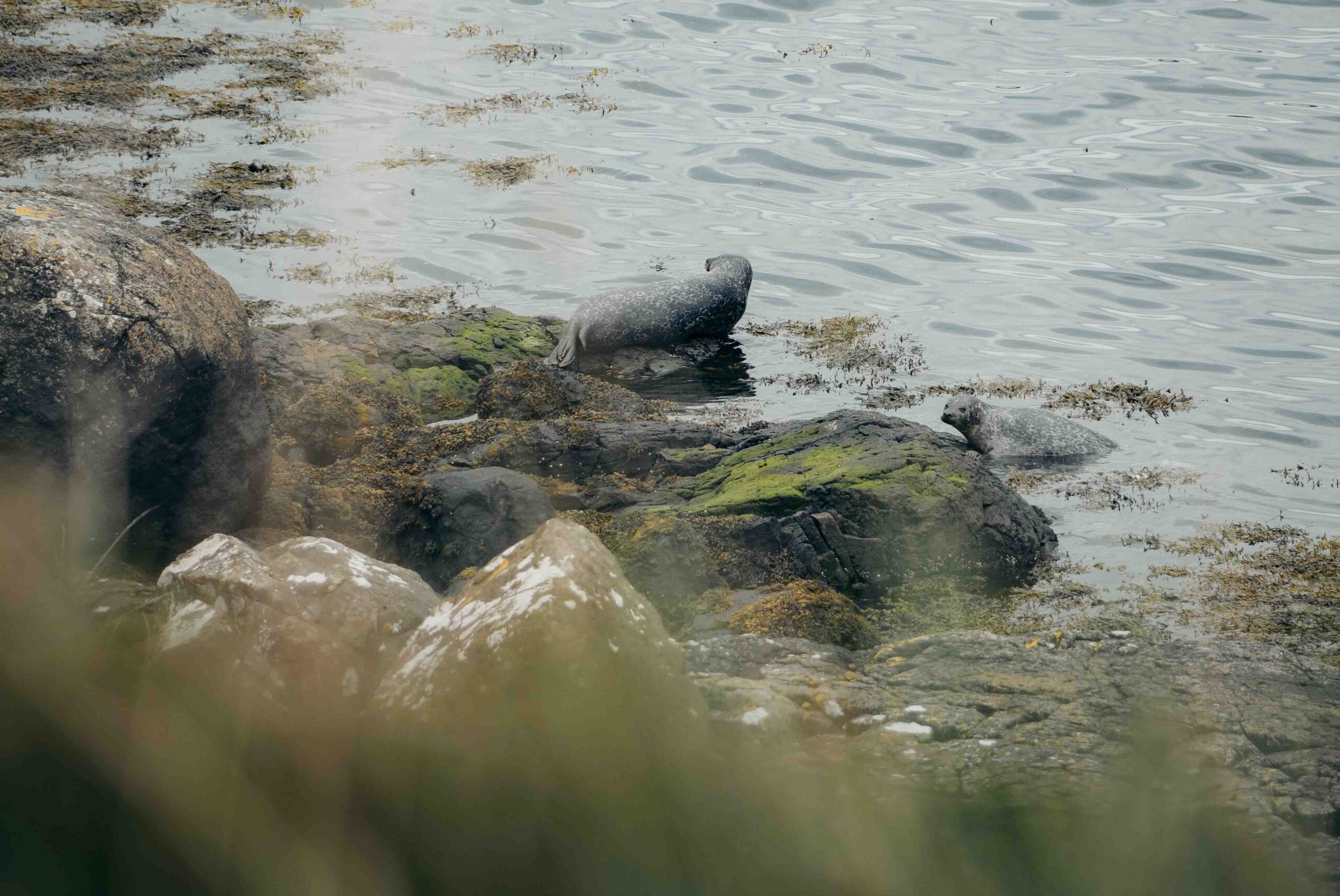 Randonnée en ecosse - Hiking in Scotland - Wandelen in Schotland
