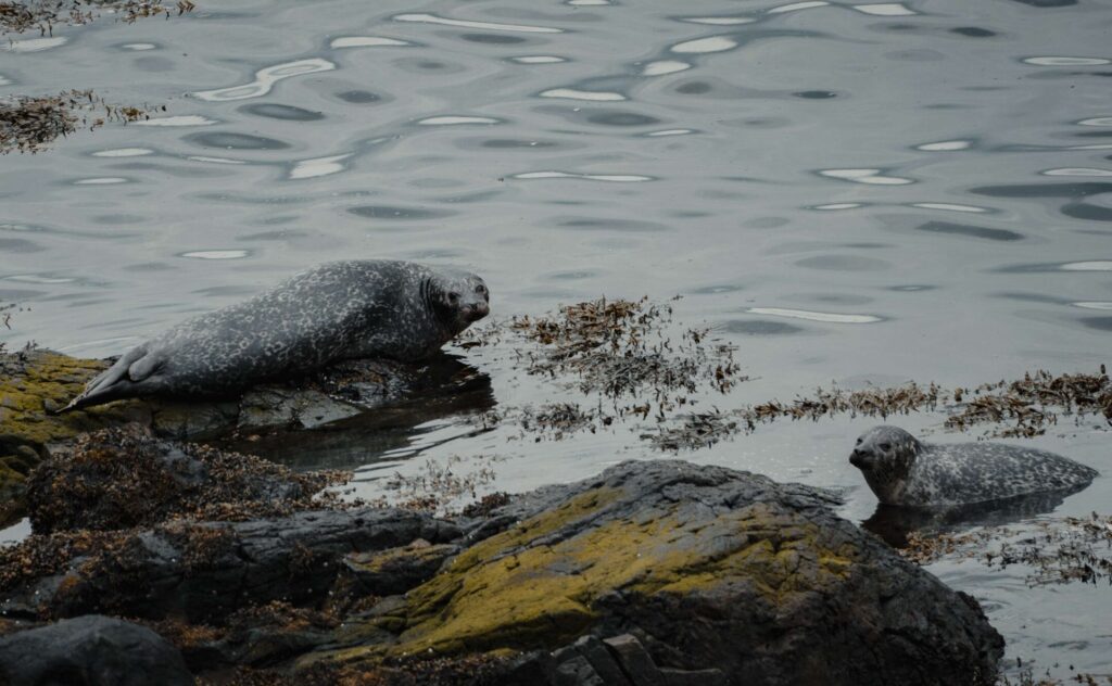 Trek en Ecosse - Trektocht in Schotland